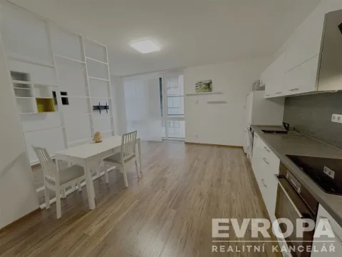 Pronájem bytu 2+kk, Plzeň - Bolevec, U Velkého rybníka, 44 m2