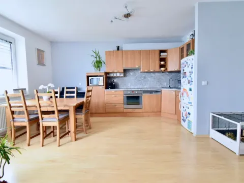 Pronájem bytu 4+kk, Brno - Bystrc, Říčanská, 95 m2