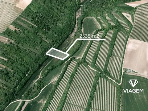 Prodej pole, Žarošice, 2535 m2