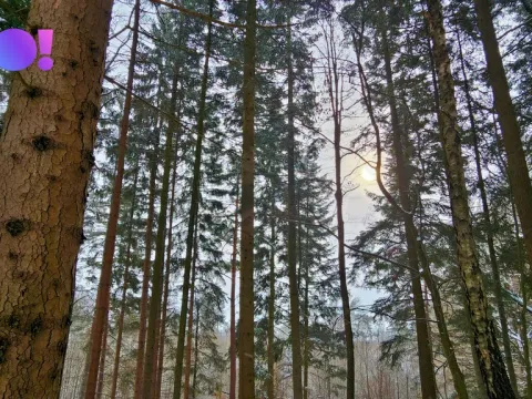 Prodej pozemku, Liptál, 17190 m2