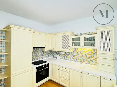 Pronájem bytu 1+1, České Budějovice, Riegrova, 55 m2