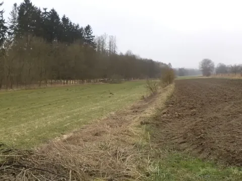 Dražba louky, Trhový Štěpánov, 705 m2