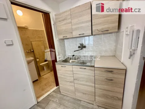 Pronájem bytu 1+kk, Ústí nad Labem - Ústí nad Labem-centrum, Moskevská, 21 m2