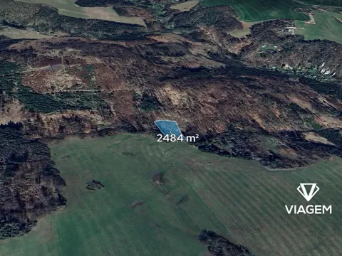 Prodej lesa, Stříbrná Skalice, 2484 m2