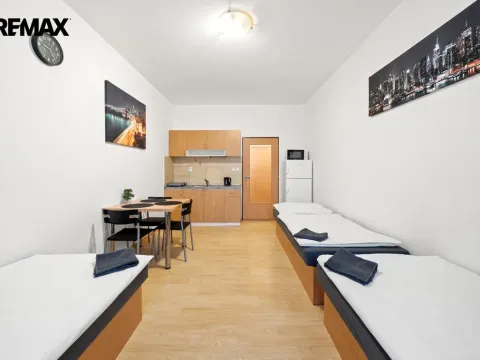 Pronájem bytu 1+kk, Pardubice - Svítkov, K Dubině, 26 m2