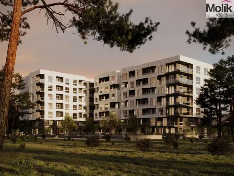 Prodej bytu 2+kk, Golem, 65 m2