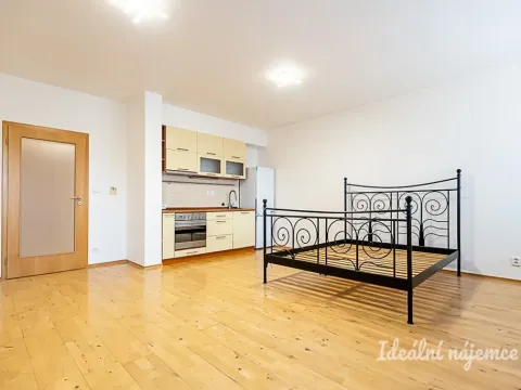 Pronájem bytu 1+kk, Praha - Žižkov, V zahrádkách, 38 m2