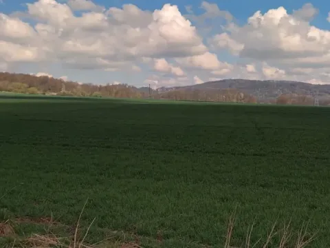 Prodej pole, Snědovice, 5445 m2