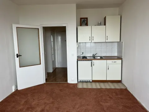 Pronájem bytu 1+kk, Brno - Lesná, Halasovo náměstí, 26 m2