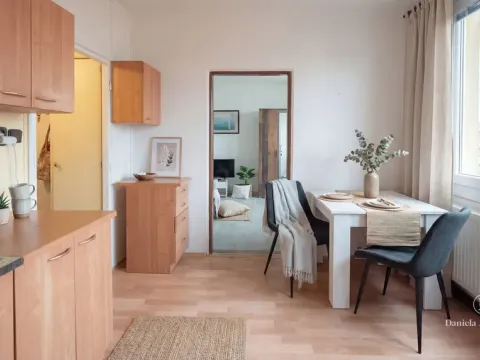 Prodej bytu 1+1, České Budějovice - České Budějovice 3, Plzeňská, 30 m2