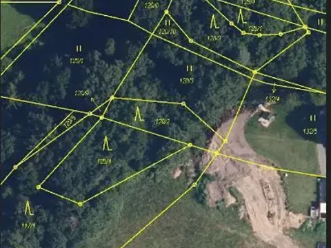 Prodej lesa, Nemile, 323 m2