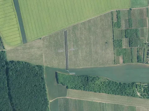 Prodej louky, Brumovice, 9612 m2