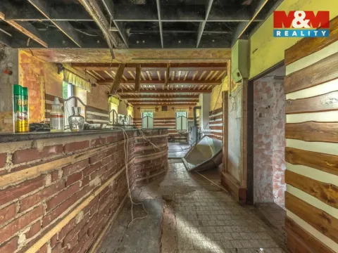 Prodej obchodního prostoru, Plavy, 500 m2