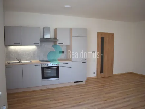 Pronájem bytu 1+kk, České Budějovice, České Vrbné, 43 m2