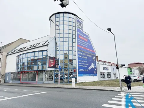 Pronájem obchodního prostoru, Prostějov, Wolkerova, 173 m2