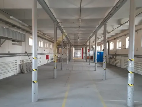 Pronájem skladu, Hodonín, Čajkovského, 800 m2