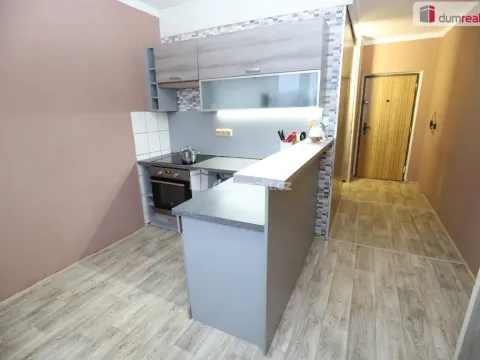 Pronájem bytu 1+1, Sokolov, Křížová, 41 m2