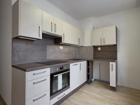 Pronájem bytu 2+1, Chomutov, Sluneční, 51 m2