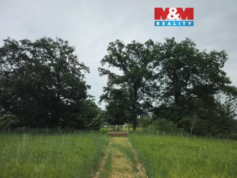 Prodej lesa, Tuřice, 7985 m2