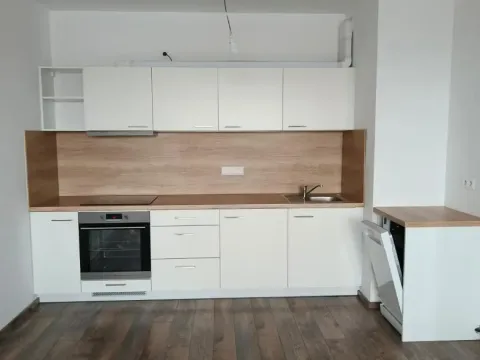 Pronájem bytu 2+kk, Plzeň - Východní Předměstí, Sladová, 55 m2