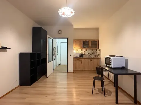 Pronájem bytu 1+kk, Brno, Halasovo náměstí, 26 m2