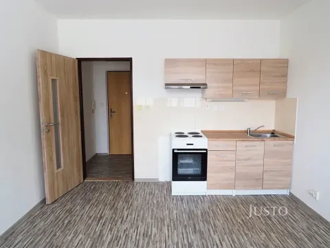 Pronájem bytu 1+kk, Písek, Dr. M. Horákové, 20 m2