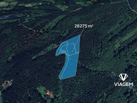 Prodej podílu lesa, Morávka, 4 m2