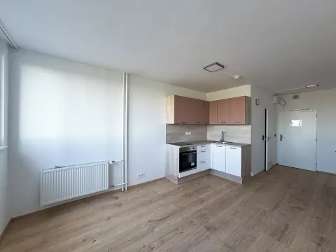 Pronájem bytu 1+kk, Praha - Střížkov, Děčínská, 25 m2