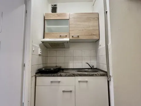 Pronájem bytu 1+kk, Ostrava - Hrabůvka, Krakovská, 21 m2