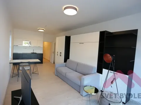 Pronájem bytu 1+kk, Praha - Karlín, U Mlýnského kanálu, 41 m2