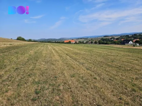 Prodej louky, Málkov, 20000 m2