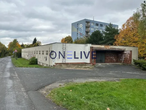 Pronájem garáže, Plzeň, Čermákova, 20 m2