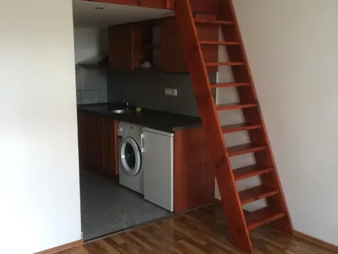 Pronájem bytu 1+kk, Praha - Vysočany, Freyova, 22 m2