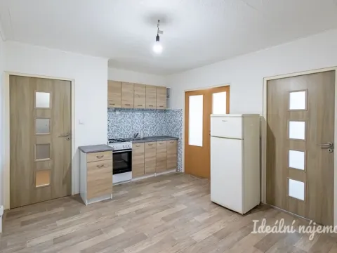 Pronájem bytu 2+1, Praha - Karlín, Nekvasilova, 41 m2