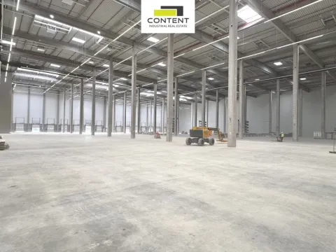 Pronájem výrobních prostor, Cheb - Hradiště, Průmyslový park, 13389 m2