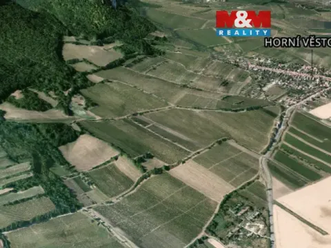 Pronájem pole, Horní Věstonice, 4000 m2