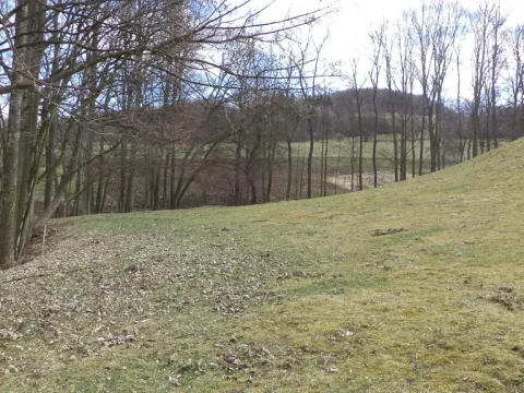 Prodej pole, Heřmanov - Fojtovice, 4633 m2