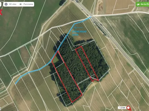 Prodej lesa, Ostřetín, 21595 m2