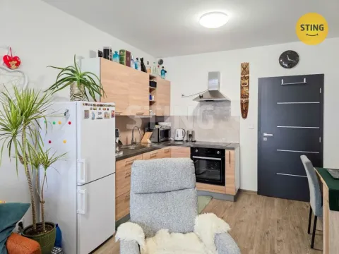 Prodej bytu 1+kk, Olomouc, Wittgensteinova, 30 m2