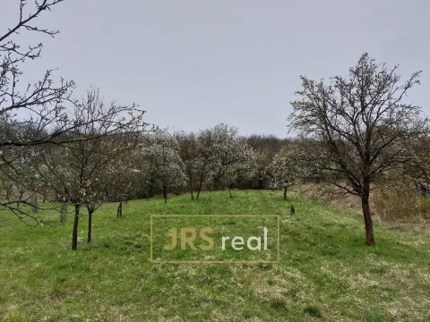 Prodej pozemku, Blučina, 4446 m2