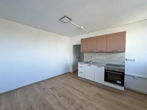 Pronájem bytu 1+kk, Praha - Střížkov, Děčínská, 23 m2