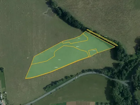 Prodej louky, Seč, 28117 m2