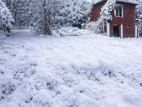 Prodej louky, Dlouhomilov, 7512 m2