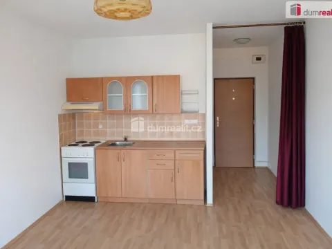 Pronájem bytu 1+kk, Děčín - Děčín VI-Letná, Želenická, 25 m2