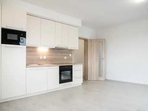 Pronájem bytu 1+kk, Heřmanova Huť, U Pondu, 34 m2