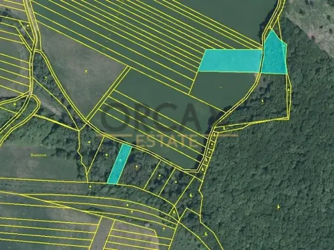 Prodej pole, Uherský Brod, 9308 m2