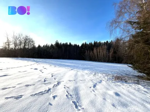 Prodej lesa, Žďár nad Sázavou - Stržanov, 43856 m2