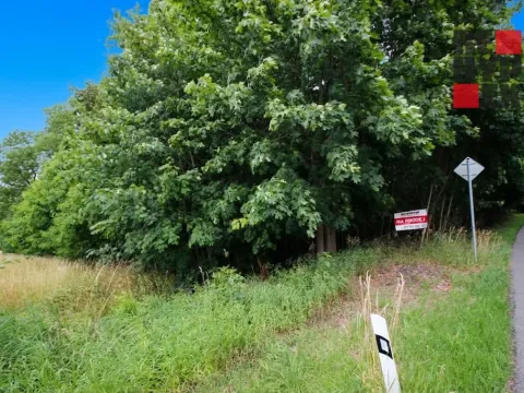 Prodej pozemku pro bydlení, Jiřetín pod Jedlovou, 5471 m2
