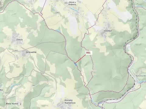 Dražba louky, Jílové u Držkova, 4019 m2