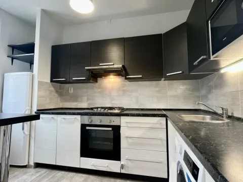 Pronájem bytu 2+1, Ostrava - Bělský Les, Ladislava Hosáka, 45 m2